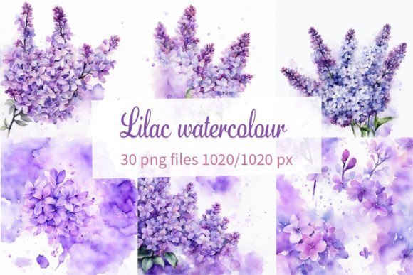Lilac Watercolour: Bringing Soft, Artistic Flair to Your Projects